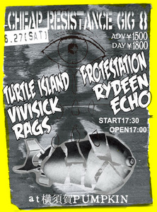 cheap resistance gig8.jpg